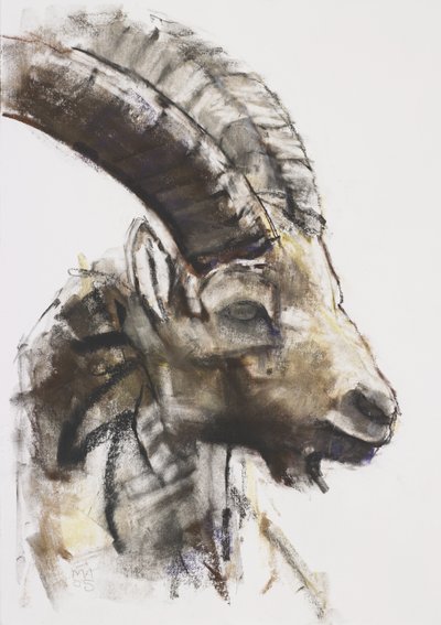 Testa, 2005 by Mark Adlington