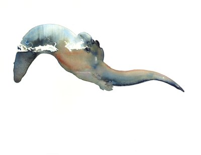 Unknown Title by Mark Adlington