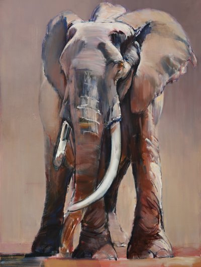 Venerable Old Matriarch by Mark Adlington