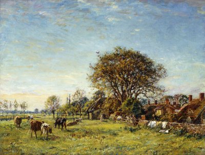 A Summer