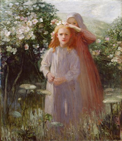 Wild Roses by Mark Senior
