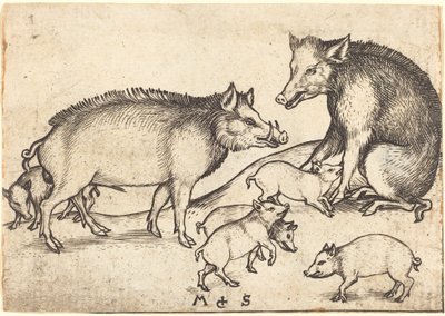Family of Pigs by Martin Schongauer