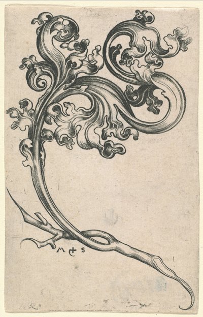 Leaf Ornament by Martin Schongauer