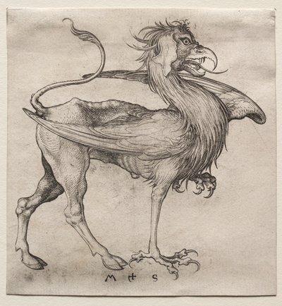 The Griffin by Martin Schongauer