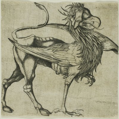 The Griffin by Martin Schongauer