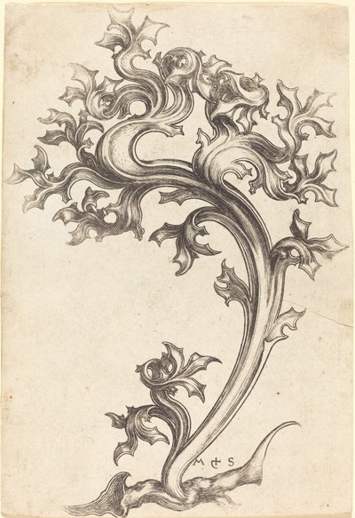 Thistle Ornament by Martin Schongauer