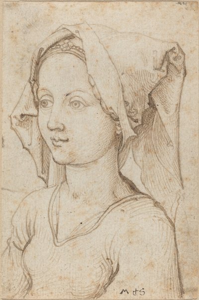 Young Woman Wearing a Scarf by Martin Schongauer