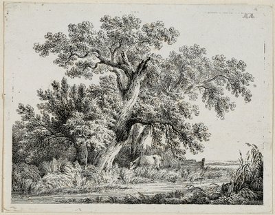 Landscape by Martin von Molitor