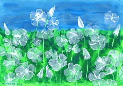 White Mallow by Martina Konitzky