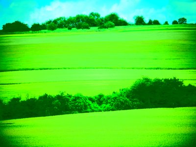 Landscape Green by Martina Konitzky