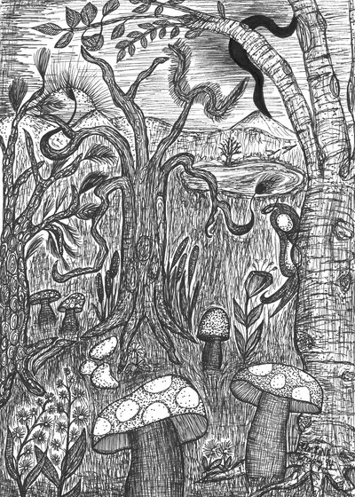 Landscape with Mushrooms by Martina Konitzky