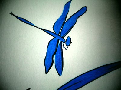 Dragonfly (Detail) by Martina Konitzky