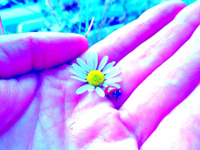 Love by Martina Konitzky