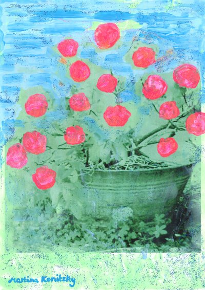 Rhododendron by Martina Konitzky
