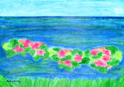 Water Lilies by Martina Konitzky