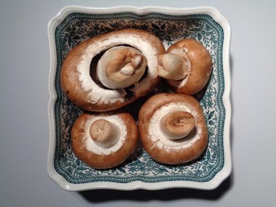 Villeroy and Boch Porcelain with Mushrooms by Martina Konitzky