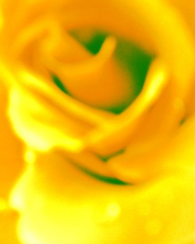 Yellow by Martina Konitzky
