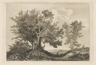 Country Road Between Two Groves by Martinus Antonius Kuytenbrouwer jr.