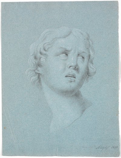 Study of a Woman