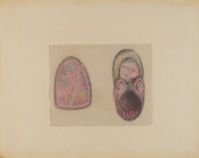 Moccasin by Mary Berner