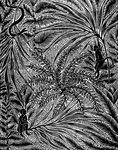 Jungle by Mary Kuper