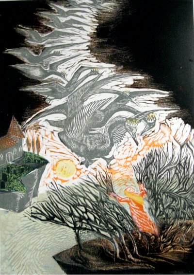 The Wild Swans by Mary Kuper