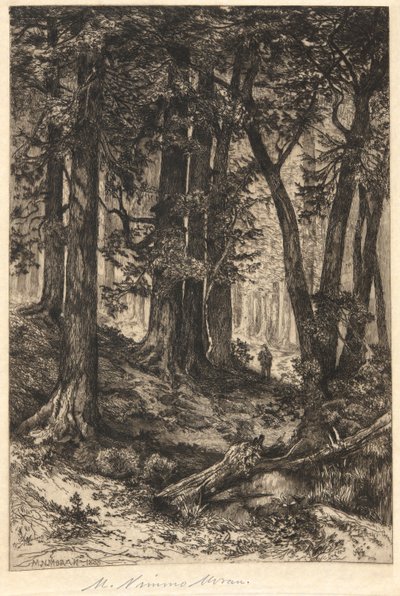 Untitled (Forest Scene) by Mary Nimmo Moran