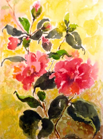 Camelias by Mary Smith