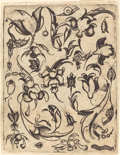 Ornament by Master T.F.