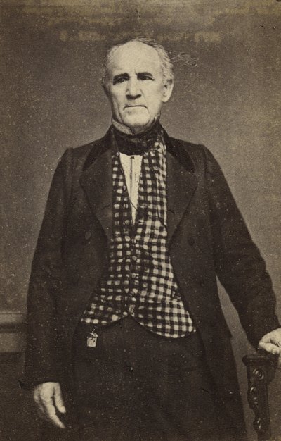 Sam Houston, c.1860-65 (albumen silver print) by Mathew B. Brady