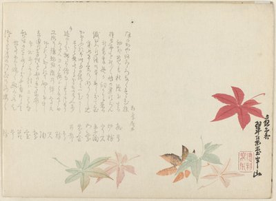 Japanese Maple by Matsukawa Hanzan