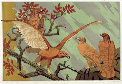 Eagles, pub. 1897 by Maurice Pillard Verneuil