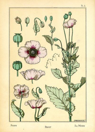 The Poppy by Maurice Pillard Verneuil