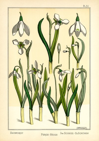 The Snowdrop by Maurice Pillard Verneuil