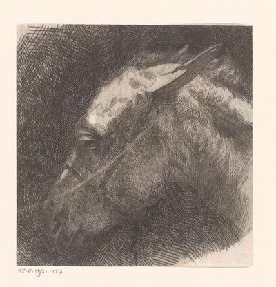 Head of a Mule by Maurits van der Valk