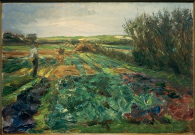 The Cabbage Field (Cabbage Field in Noordwijk) by Max Liebermann
