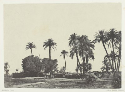 Village of Hamameh, Upper Egypt by Maxime Du Camp