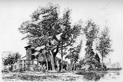 Les Acacias by Maxime Lalanne