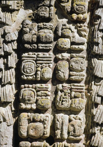 Stele A, Plaza de Ceremonias, 731 AD by Mayan