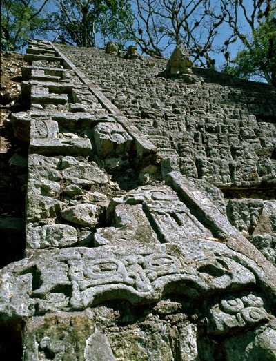 View of the Hieroglyphic Stairway, 743 AD by Mayan