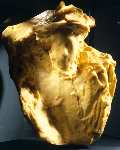 Bookmaker by Medardo Rosso