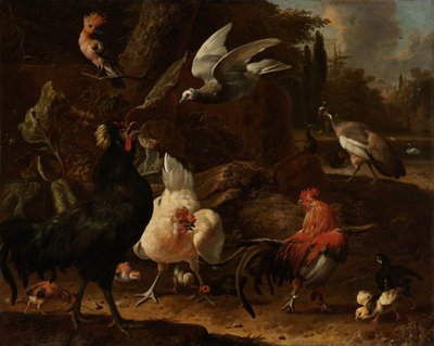 Birds in a Park by Melchior d