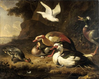 Ducks by Melchior d