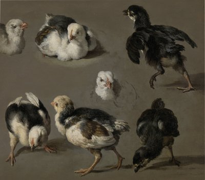 Seven Chicks by Melchior d