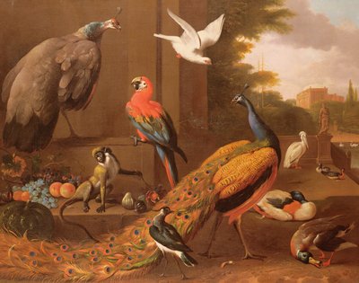 Birds in a Landscape by Melchior de Hondecoeter