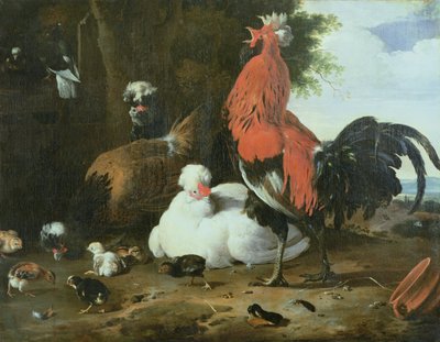 Farmyard Fowls with Pigeons by Melchior de Hondecoeter