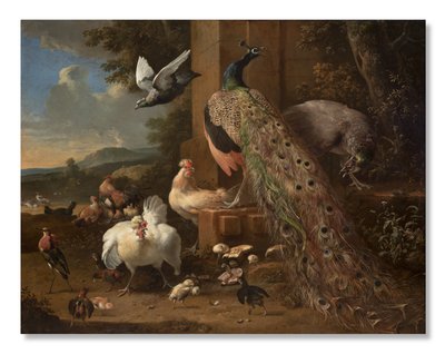 Menagerie, c.1680 by Melchior de Hondecoeter
