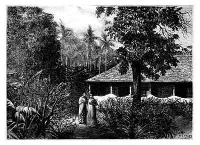 Dutch House in Ternate, Indonesia by Mesples