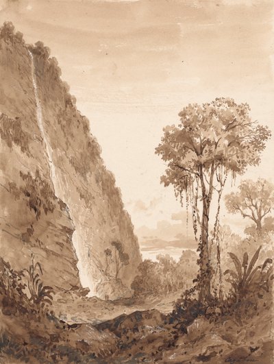 Maraccas Waterfall by Michel Jean Cazabon