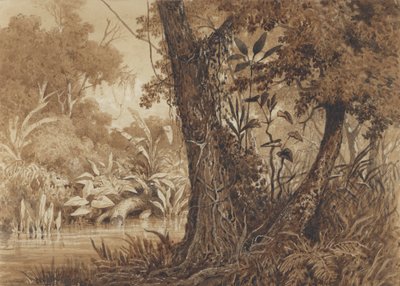 On the Cimaronero River by Michel Jean Cazabon
